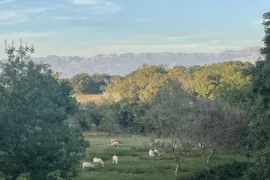 Luksuzna kuća s bazenom, Nin, Дом