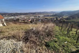 Maleni vinograd 596m² na brijegu iznad Krapine, Krapina - Okolica, Zemljište