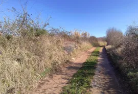 Istra,okolica Poreča,zemljšte sa malinama, Poreč, Land