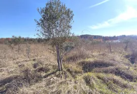 Istra,okolica Poreča,zemljšte sa malinama, Poreč, Land