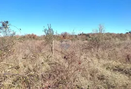 Istra,okolica Poreča,zemljšte sa malinama, Poreč, Land