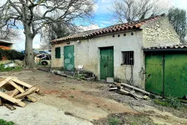 STARINA SA VELIKOM OKUĆNICOM, Ližnjan, House