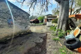 STARINA SA VELIKOM OKUĆNICOM, Ližnjan, Kuća