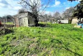 STARINA SA VELIKOM OKUĆNICOM, Ližnjan, Famiglia