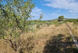 Kuća prodaja JAGODNJA GORNJA s velikom okućnicom 2900 m2, Polača, Kuća