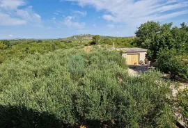 Kuća prodaja JAGODNJA GORNJA s velikom okućnicom 2900 m2, Polača, Kuća