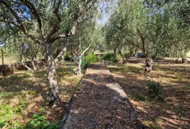 Kuća prodaja JAGODNJA GORNJA s velikom okućnicom 2900 m2, Polača, Kuća