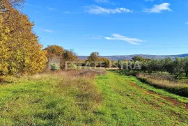 Istra, Rakalj - Veliko građevinsko-poljoprivredno zemljište 8620 m2, Marčana, Γη