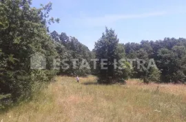 Pazin, odlično građevinsko zemljište 3500 m2 za vile, Pazin - Okolica, Γη