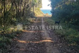 Šišan, poljoprivredno zemljište u blizini plaže, Ližnjan, Terra