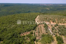 Marčana, Terreno