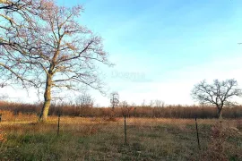 JURŠIĆI – dvije prekrasne građevinske parcele, Svetvinčenat, أرض