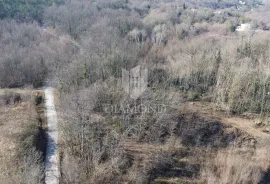 Pićan, prostrano građevinsko zemljište s otvorenim pogledom, Pićan, Γη