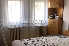 Novi Sad, Detelinara, Starine Novaka, 2.0, 50m2, Novi Sad - grad, Appartement