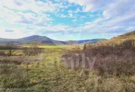 POLJOPRIVREDNO ZEMLJIŠTE SA FANTASTIČNIM POGLEDOM NA MOTOVUN, Motovun, Land