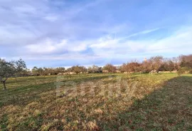 PROSTRANO GRAĐEVINSKO ZEMLJIŠTE NA TRAŽENOJ LOKACIJI, Vodnjan, Terra