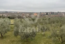 KUĆA SA PROSTRANOM OKUĆNICOM NA MIRNOJ LOKACIJI, Vodnjan, Σπίτι