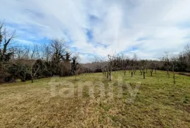 PROSTRANO GRAĐEVINSKO - POLJOPRIVREDNO ZEMLJIŠTE, Višnjan, Land