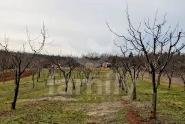 GRAĐEVINSKO ZEMLJIŠTE SA PREDIVNIM POLJOPRIVREDNIM DJELOM, Višnjan, Γη