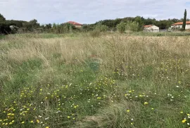 Pula, poljoprovredna parcela s vodom, Pula, Terreno