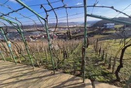 Dvije vikendice sa vinogradom na brijegu iznad Krapine!, Krapina - Okolica, Haus