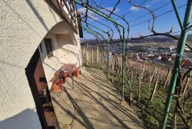 Dvije vikendice sa vinogradom na brijegu iznad Krapine!, Krapina - Okolica, Haus