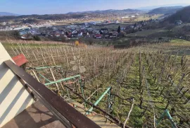 Dvije vikendice sa vinogradom na brijegu iznad Krapine!, Krapina - Okolica, Haus