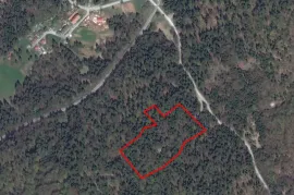 Poljoprivredno zemljište, Lučice, prodaje se 1/3 od 8.796 m2, Delnice, Terreno