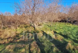 KAMENA KUĆA SA PREDIVNIM POGLEDOM NA MORE, Raša, Haus