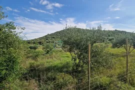 Građevinsko zemljište PRODAJA Donja Jagodnja, 500 m2, Polača, Terra