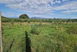 Građevinsko zemljište PRODAJA Donja Jagodnja, 500 m2, Polača, Terra