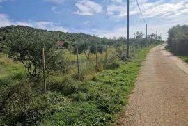 Građevinsko zemljište PRODAJA Donja Jagodnja, 500 m2, Polača, Terra