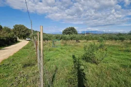 Građevinsko zemljište PRODAJA Donja Jagodnja, 935 m2, Polača, Terra