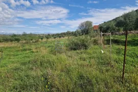 Građevinsko zemljište PRODAJA Donja Jagodnja, 935 m2, Polača, Terra