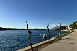 Kuća sa bazenom 50 m od plaže na Braču, Selca, Kuća