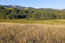 Prodajem plac Zlatibor-Tornik, Čajetina, Γη