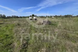 EKSKLUZIVNO  PROSTRANO ZEMLJIŠTE NA ATRAKTIVNOJ LOKACIJI, Fažana, Terreno