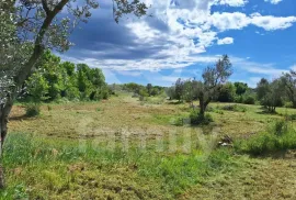 EKSKLUZIVNO  PROSTRANO ZEMLJIŠTE NA ATRAKTIVNOJ LOKACIJI, Fažana, Terreno