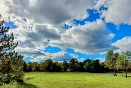 Istra, Butkovići - legalizirana kučica na 7600 m2, Svetvinčenat, Land