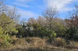 Poljoprivredno zemljište na odličnoj lokaciji - 2805 m², Vodnjan, Terreno