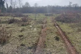 Građevinsko i poljoprivredno zemljište Baderna, kraj Poreča, Poreč, Zemljište