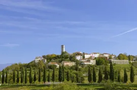 Centralna Istra: građevinska parcela površine 3ha, Oprtalj, Arazi