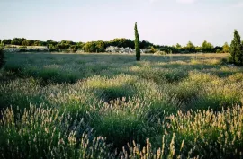 KAMENI DVOR na vrhu otoka Hvara, Jelsa, Σπίτι