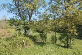 Rijetkost-7.5 Ha u komadu i Kuća na vrhu brda, Karlovac - Okolica, House