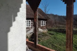 Rijetkost-7.5 Ha u komadu i Kuća na vrhu brda, Karlovac - Okolica, House