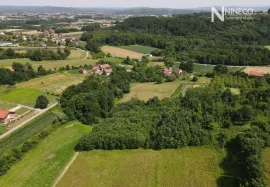 ZEMLJIŠTE - K.O. MAHOVLJANI (RIJEČANI) - 10.000 m2, Laktaši, Terrain