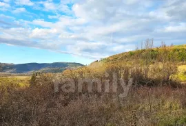 VIŠENAMJENSKO ZEMLJIŠTE VISOKOG POSLOVNOG POTENCIJALA, Motovun, Земля