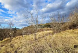 VIŠENAMJENSKO ZEMLJIŠTE VISOKOG POSLOVNOG POTENCIJALA, Motovun, Земля