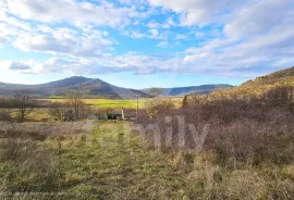 VIŠENAMJENSKO ZEMLJIŠTE VISOKOG POSLOVNOG POTENCIJALA, Motovun, Γη