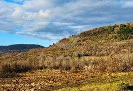 VIŠENAMJENSKO ZEMLJIŠTE VISOKOG POSLOVNOG POTENCIJALA, Motovun, Земля